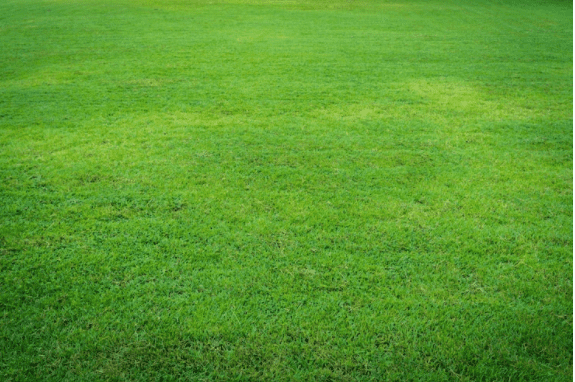 Artificial Grass Installation