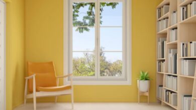 House windows