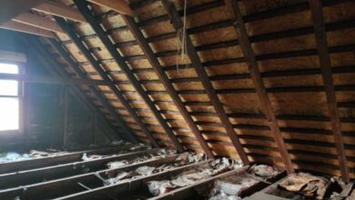 Attic Inspection