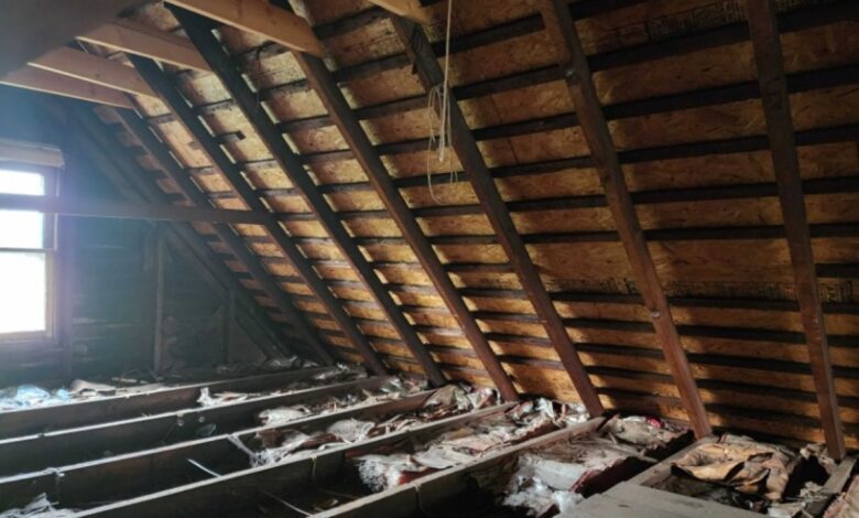 Attic Inspection