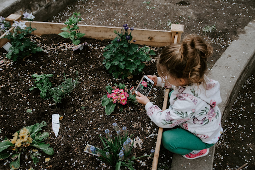 Home Garden