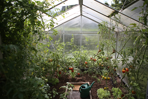 Create Your Own Edible Garden