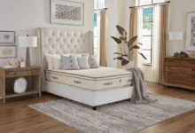 Latex Beds