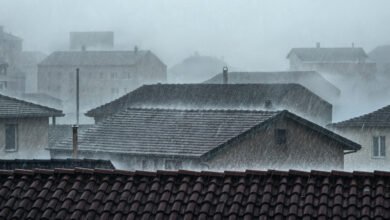Rain Can Damage Your Roof