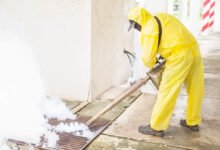 Termite Damage