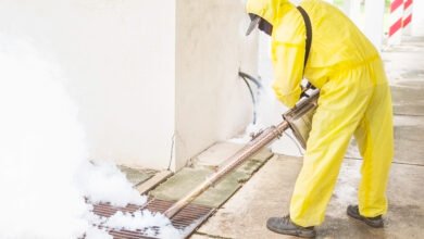 Termite Damage