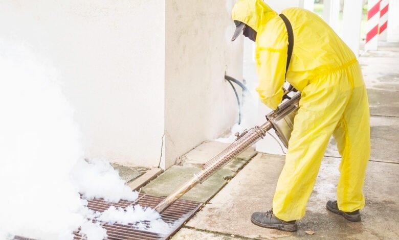 Termite Damage